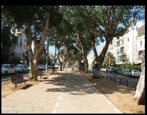 Avenue Ben Gourion