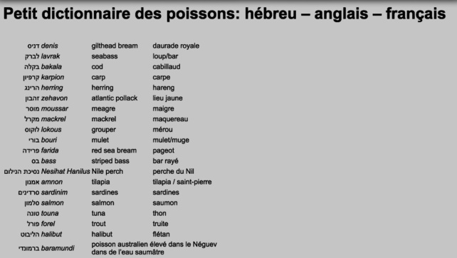 Petit dictionnaire des poissons : hébreu – anglais – français