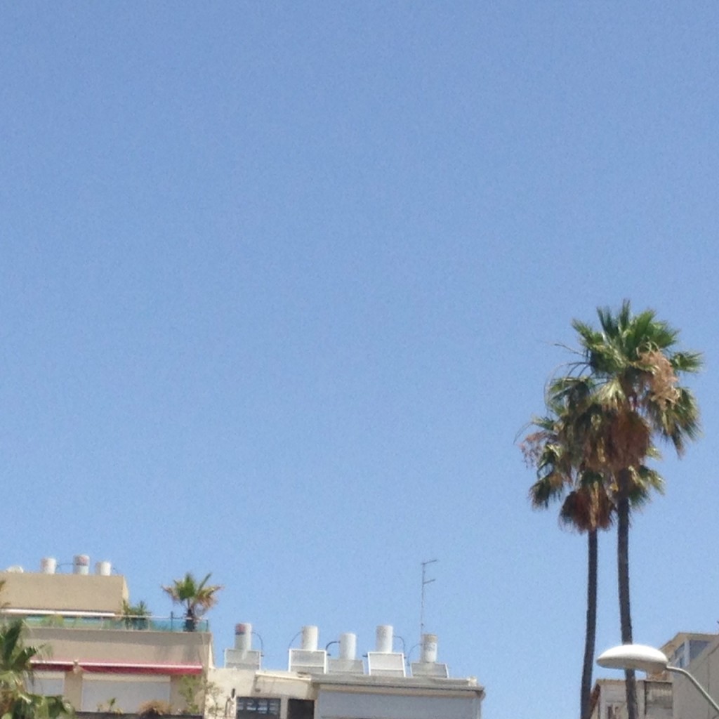 Tellement Tel Aviv, bidons solaires et palmiers