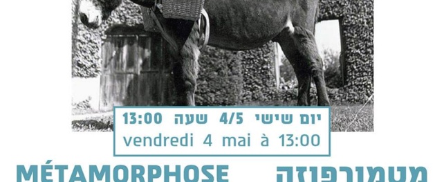 Antishefa : Métamorphose, un spectacle où se mêlent littérature, art, animation et musique