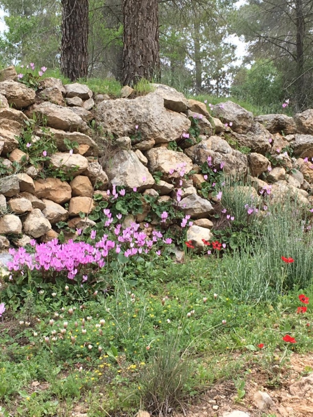 Randonnée dans les montagnes de Judée : Har Eitan