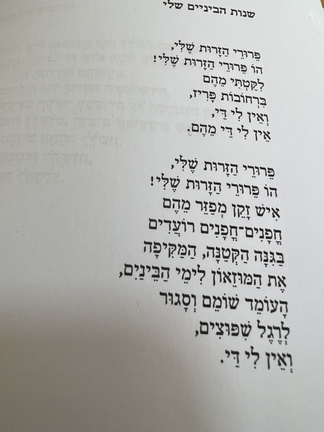 Mes années moyenâgeuses, un poème de Rita Kogan traduit de l’hébreu