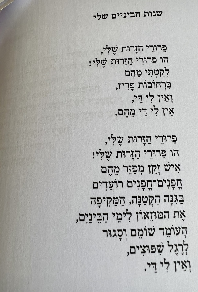 Mes années moyenâgeuses, un poème de Rita Kogan traduit de l’hébreu